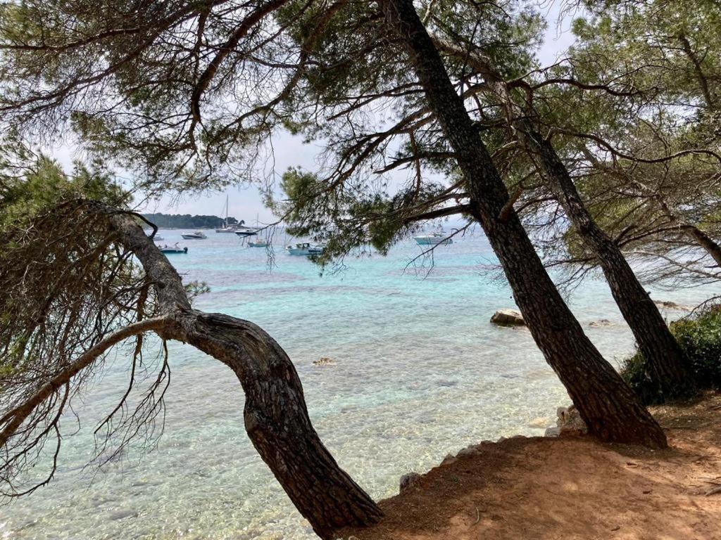 Appartement Centre Croisette Emplacement Exceptionnel Cannes Eksteriør billede